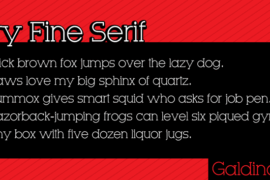 Very Fine Serif Font