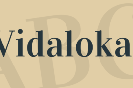 Vidaloka Font