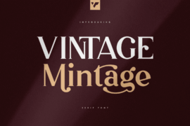 Vintage Mintage Font