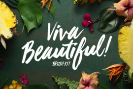 Viva Beautiful Font