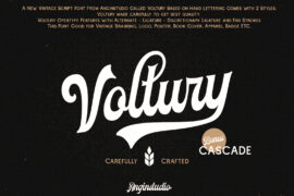 Voltury Font