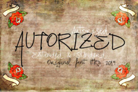Vtks Autorized 2 Font