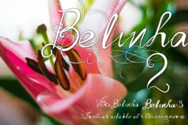 Vtks Belinha Font