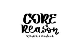 Vtks Core Reason Font