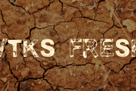 vtks fresh Font