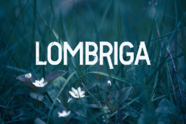 Vtks Lombriga Font