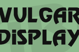 Vulgar Display Font