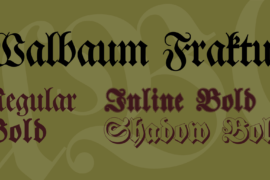 Walbaum Fraktur Font Family