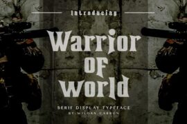 Warrior of World Demo Font Family