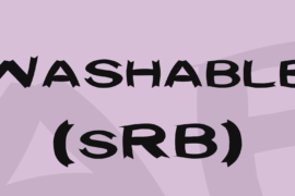 Washable (sRB) Font