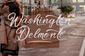 Washington Delmonte Font Family