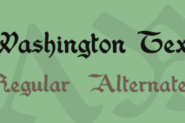 Washington Text Font Family