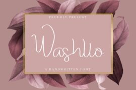 Washllo Demo Font