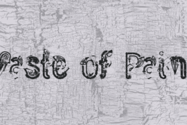 Waste of Paint Font