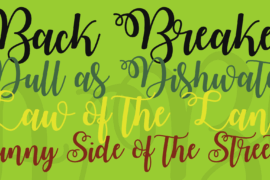 Watermelon Script Demo Font