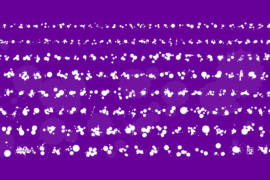 WC Rhesus B Bta Font