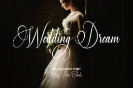 Wedding Dream Demo Font