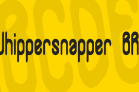 Whippersnapper BRK Font