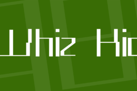 Whiz Kid Font