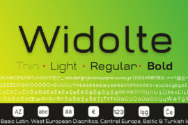 Widolte Demo Font Family