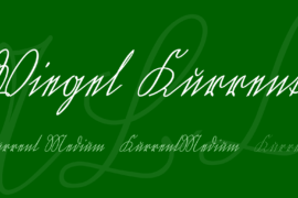Wiegel Kurrent Font Family
