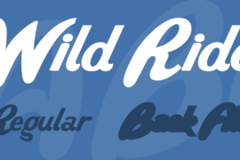 Wild Ride Font Family