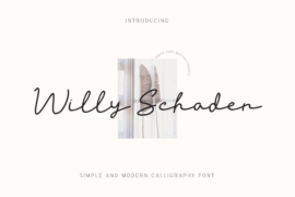 Willy Schaden DEMO Font