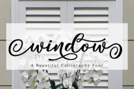 Window Font
