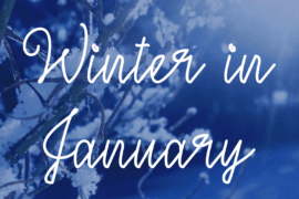 Winter in January Font