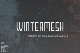 Wintermesh Font Family
