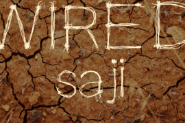 WIRED saji Font