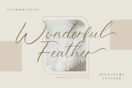 Wonderful_Feather Font