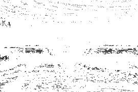 Woodwarrior Font Family