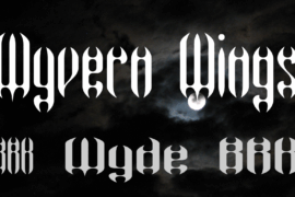 Wyvern Wings Font Family