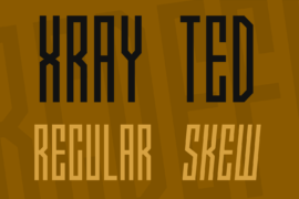 Xray Ted Font Family