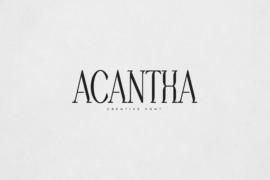 Acantha Font