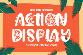Action Display Demo Font