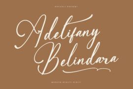 Adelifany Belindara DEMO VERSIO Font Family