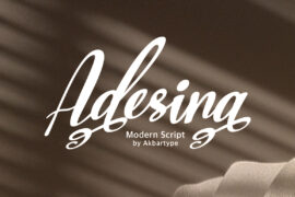 Adesina Font