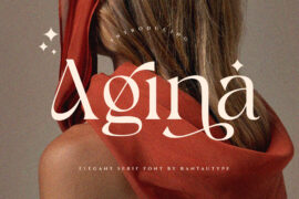 Agina Font