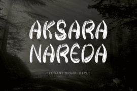 Aksara Nareda Font
