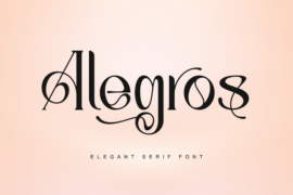 Alegros-Personal use Font