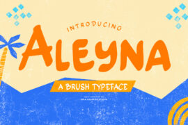 Aleyna Personal Use Font