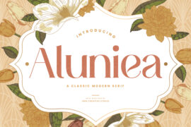 Aluniea Personal Use Font
