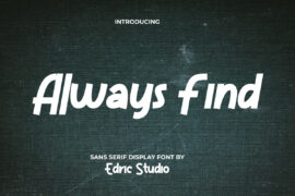 Always Find Demo Font Family
