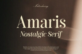 Amaris Demo Font