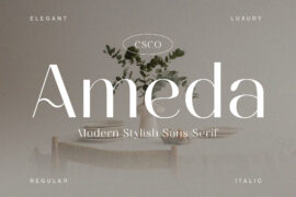 Ameda Demo Font