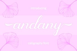 Andany Font