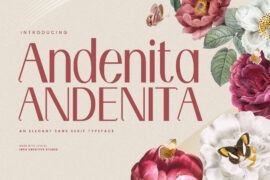 Andenita Personal Use Font