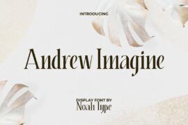 Andrew Imagine Demo Font